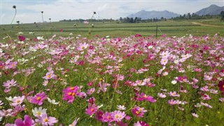 Lesotho