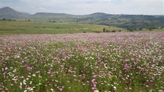 Lesotho