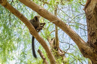 Madagascar