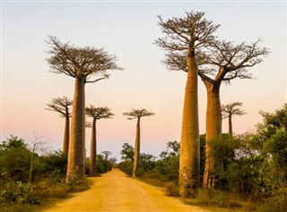 Madagascar