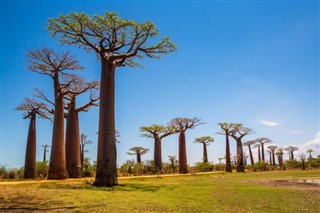 Madagaskaras