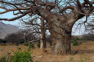 Malawi