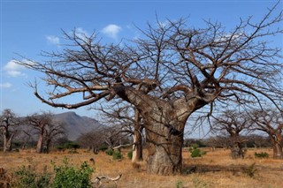 Malawi