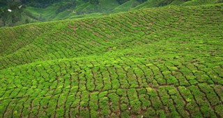 Malasia