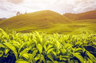 Malasia