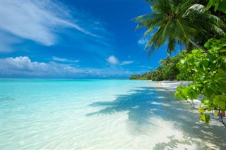 Maldivene