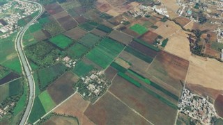 মালি