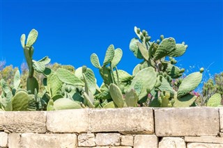 Malta