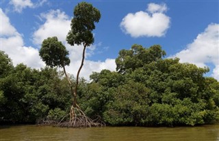 Martinique