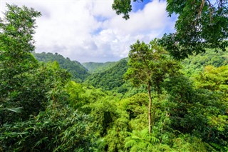 Martinique