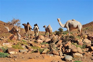 Mauritania