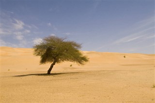 Mauritanie