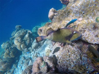 Mayotte