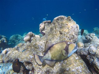 Mayotte