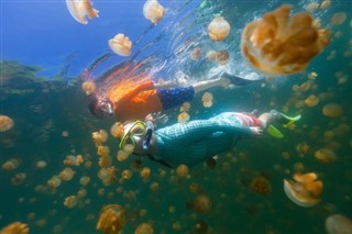 Micronesia