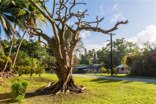 Micronesia