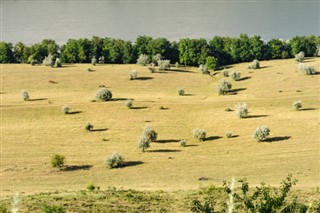 Moldova