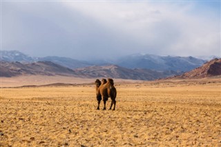 Mongolia