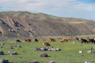 Mongolia