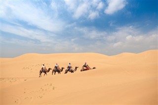 Mongolsko