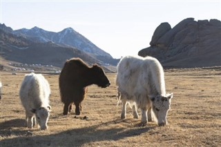 Mongolia