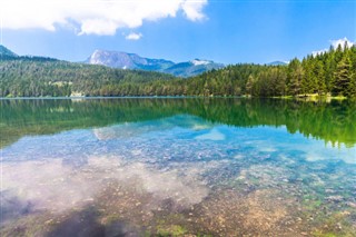 Černá