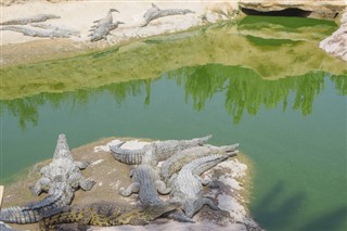 মরক্কো