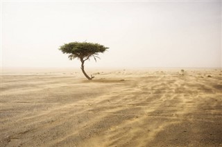 المغرب