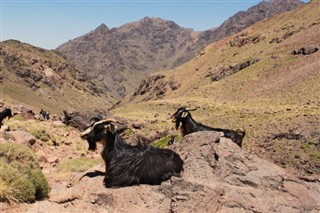 மொரோக்கோ