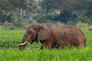 Moçambique