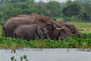 Mozambik