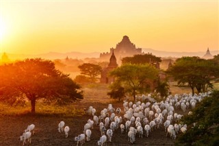 Myanmar