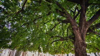 பர்மா