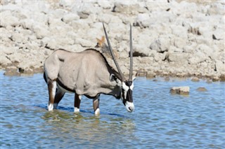 Namibië