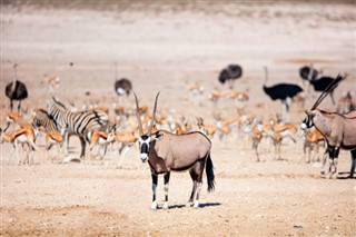 Namibia