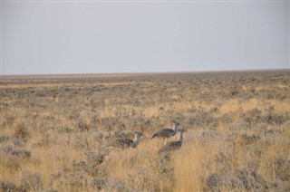 Namibia