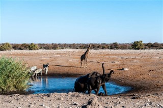 Namibia Prognoza meteo Namibia