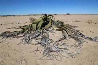 Namibia