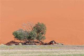 Namibia