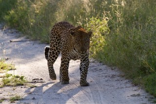 Namibia