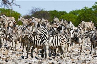 Namibia