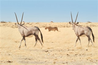 Namibia Wettervorhersage Namibia