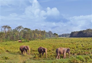 Nepal