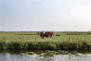 Belanda