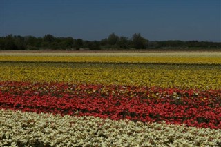 Belanda