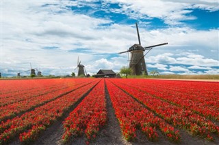 Hollanda