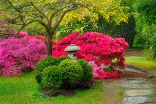 Holland