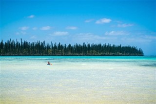 Naujoji
