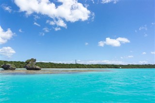 Naujoji
