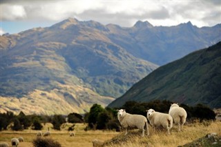 Neuseeland